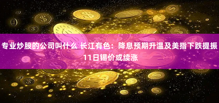 专业炒股的公司叫什么 长江有色：降息预期升温及美指下跌提振 11日锡价或续涨